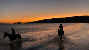 Vacanze Cavallo Toscana In maremma - Passeggiate a cavallo e in spiaggia