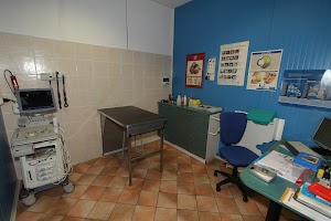 Clinica veterinaria Wiligelmo