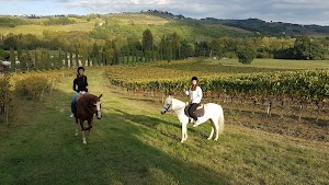 Toscana Equitazione