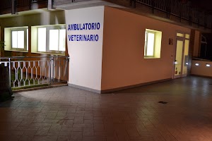 Ambulatorio Veterinario Zama