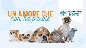 Zoomivet - Clinica Veterinaria