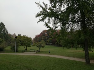 Parco delle Betulle