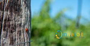 Omniasoft - Web Agency, Web marketing, SEO, SEM