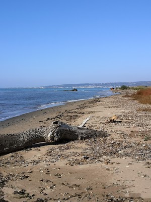 Riserva naturale di Macchiatonda