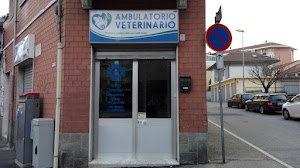 Ambulatorio Veterinario Dott.ssa Linda Galdi