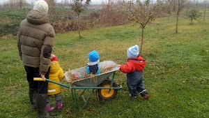 Agrinido di Capolavia - Asilo nido in famiglia