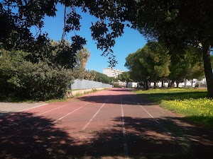 Liceo Scientifico Statale Enrico Fermi