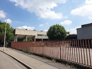 Liceo Scientifico Statale N. Copernico