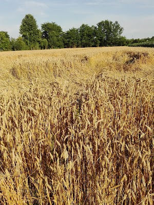 Campo Nord Di Bello Marco