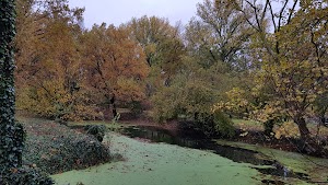 Tamburrino Riserva Naturale Fontanile Brancaleone