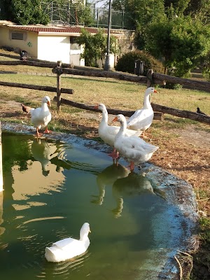 Parco Salvo DAcquisto