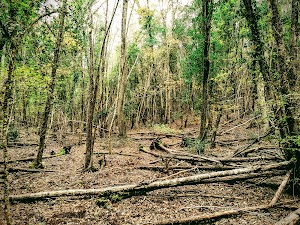 Riserva Naturale Poggio Tre Cancelli