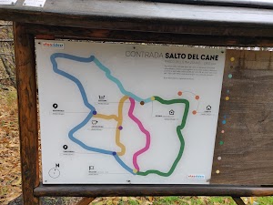 Salto del cane