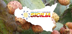 Sicilia - Italian language School