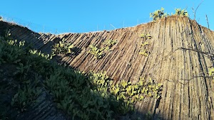 Monumento Naturale delle Canne dorgano di basalto