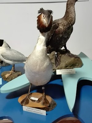 Museo di Storia Naturale - Provincia di Foggia