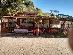 Agriturismo Cantine dellAverno