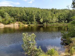 Lago di San Zanobi