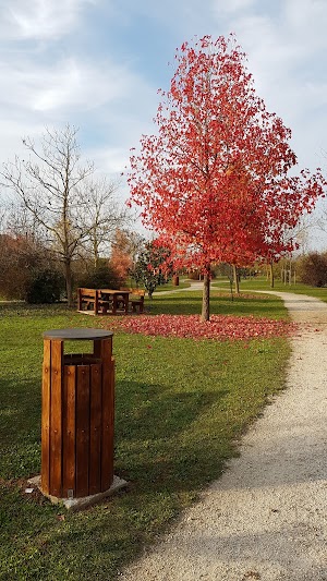 Bosco del respiro