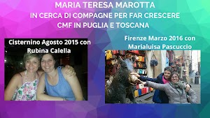 Master in Counselling Relazionale e Mediazione Familiare CMF Scuola Professionale Barletta - Altre Sedi in Puglia Lecce - Cisternino