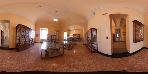 Musei Civici - Museo di Storia Naturale