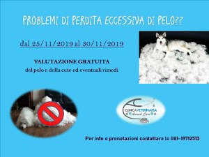 Clinica veterinaria Animal Care