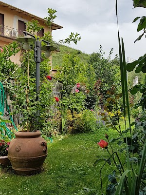 Agriturismo Il Gallo