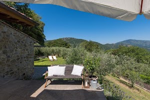 The Moonlit and Sunny Cottage