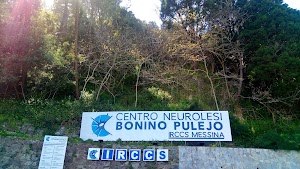 IRCCS Centro Neurolesi Bonino-Pulejo