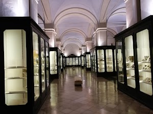 Musei Civici di Modena