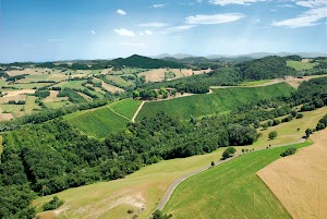 Cantina il Poggio