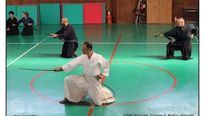 SHINBU KAI - Arti Marziali Tradizionali Giapponesi (Kory Bujutsu) a Brescia e Provincia Katayama Ryu, Hoki Ryu, Tenjin Myoshin Ryu.