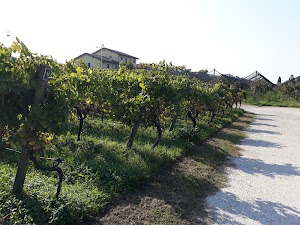 Azienda Agricola Ronca Di Ronca Massimo