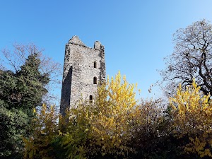 Torre di Velate