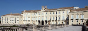 Centro Musa - Reggia di Portici - Orto Botanico - Herculanense Museum