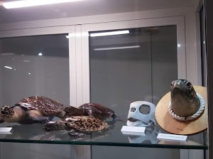 Museo CITES e Biodiversita