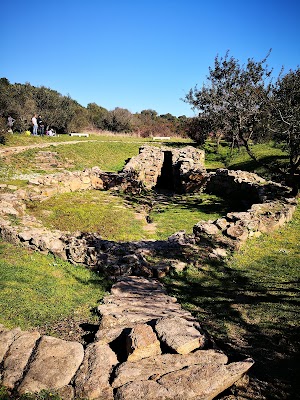 Pozzo Sacro Sa Testa, Olbia