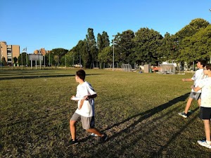 Campo Sportivo Ultimate Frisbee Fano