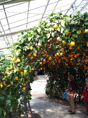 HESPERIDARIUM - IL GIARDINO DEGLI AGRUMI