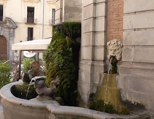 Fontana del Campo