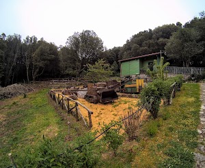 Foresta demaniale del Marganai