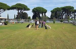 A.S.D Highlander Centro Cinofilo SCUOLA ADDESTRAMENTO CANI