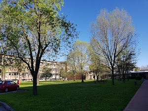 Università Degli Studi Di Ferrara