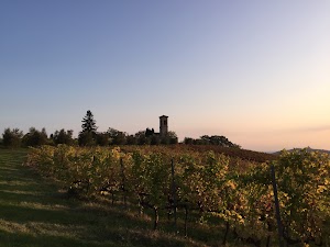 TIZZANO Società Agricola S.r.l.