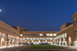 CLA Cesena - Università di Bologna
