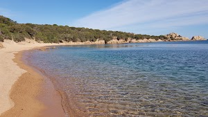 Spiaggia del Costone