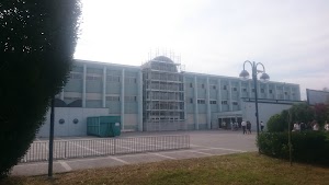 Liceo Scientifico Statale Leonardo