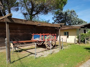 Camping le Ginestre