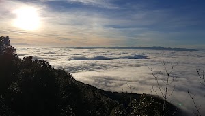 Romita di Cesi