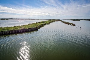 Valli di Comacchio